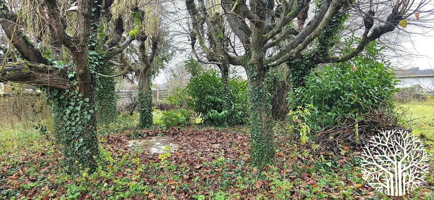Maison à vendre, 110m², Milly-la-Forêt