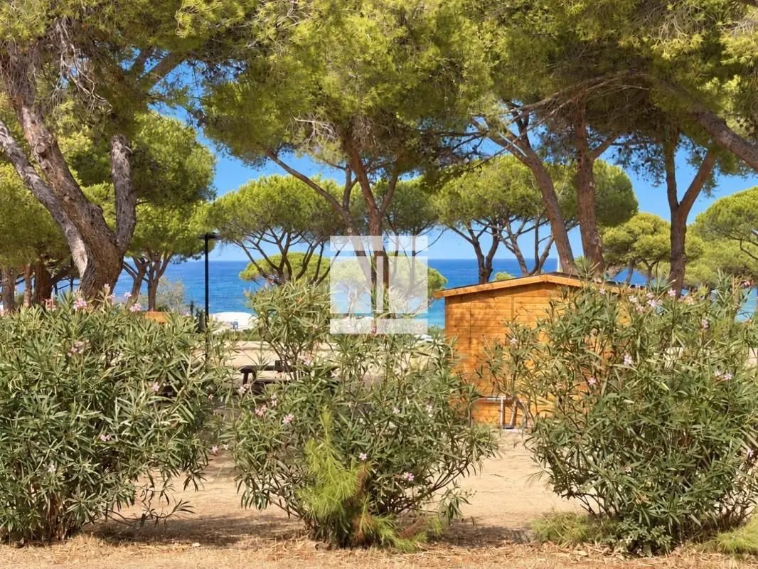 Maison à vendre, 23m², Lumio