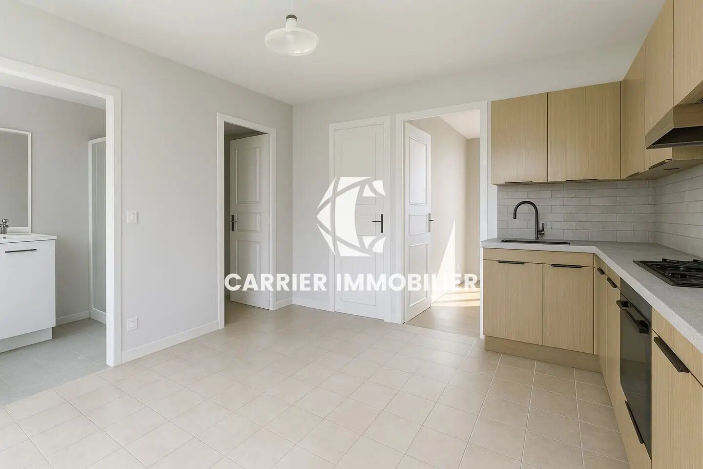 Appartement à vendre, 70m², Genay