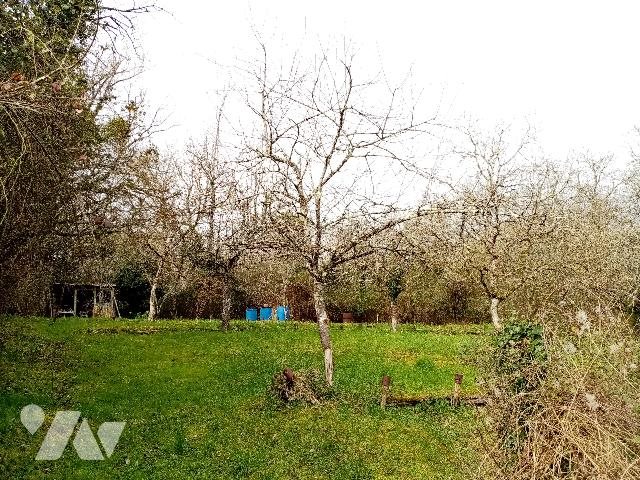 Maison à vendre, 286m², Argenvières