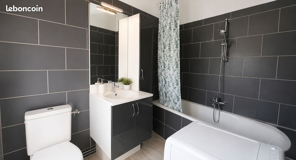 Appartement à louer, 39m², Olivet