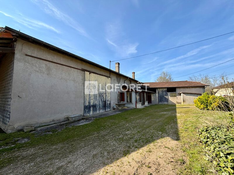 Maison à vendre, 420m², Saint-Jean-sur-Veyle