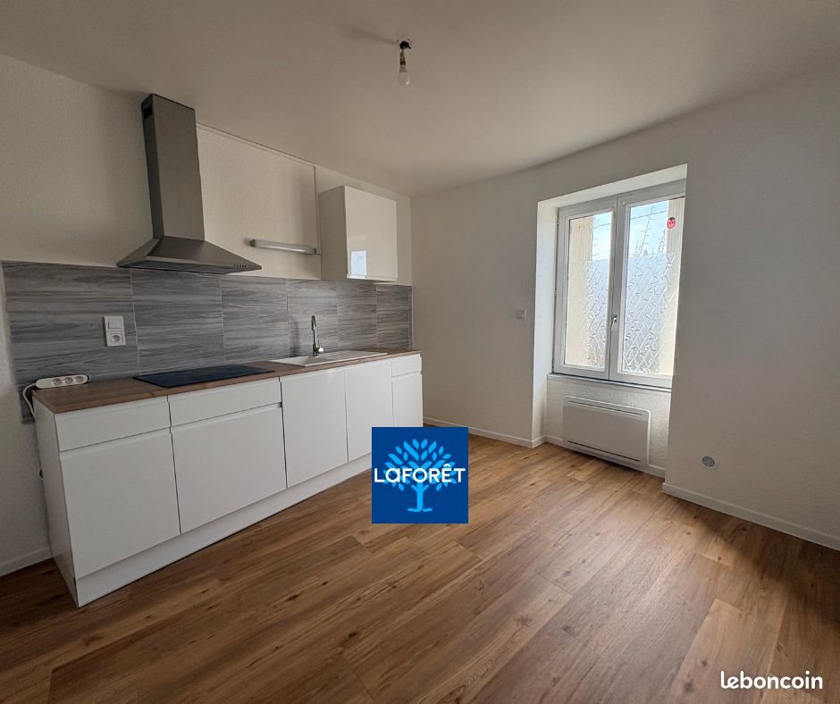Appartement à louer, 54m², Briennon