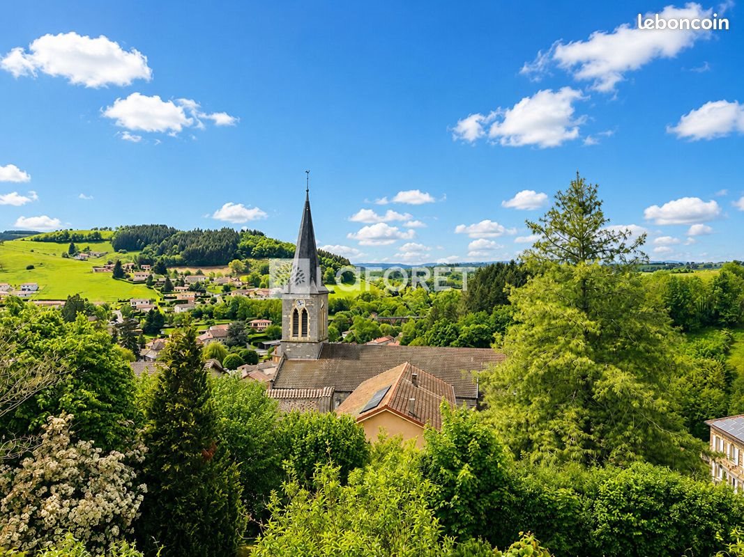 Maison à vendre, 180m², Saint-Victor-sur-Rhins