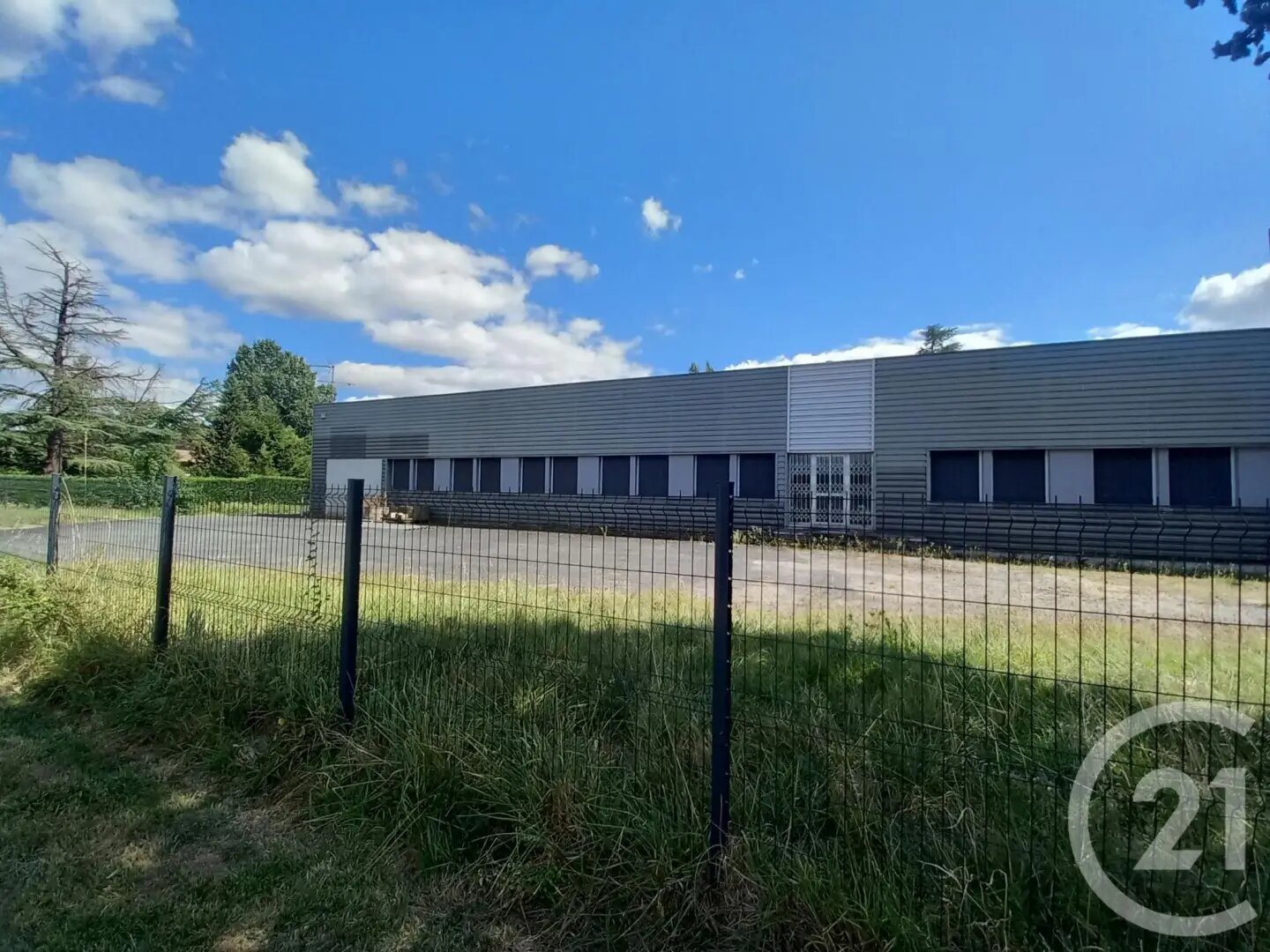 Maison à vendre, 800m², Graulhet
