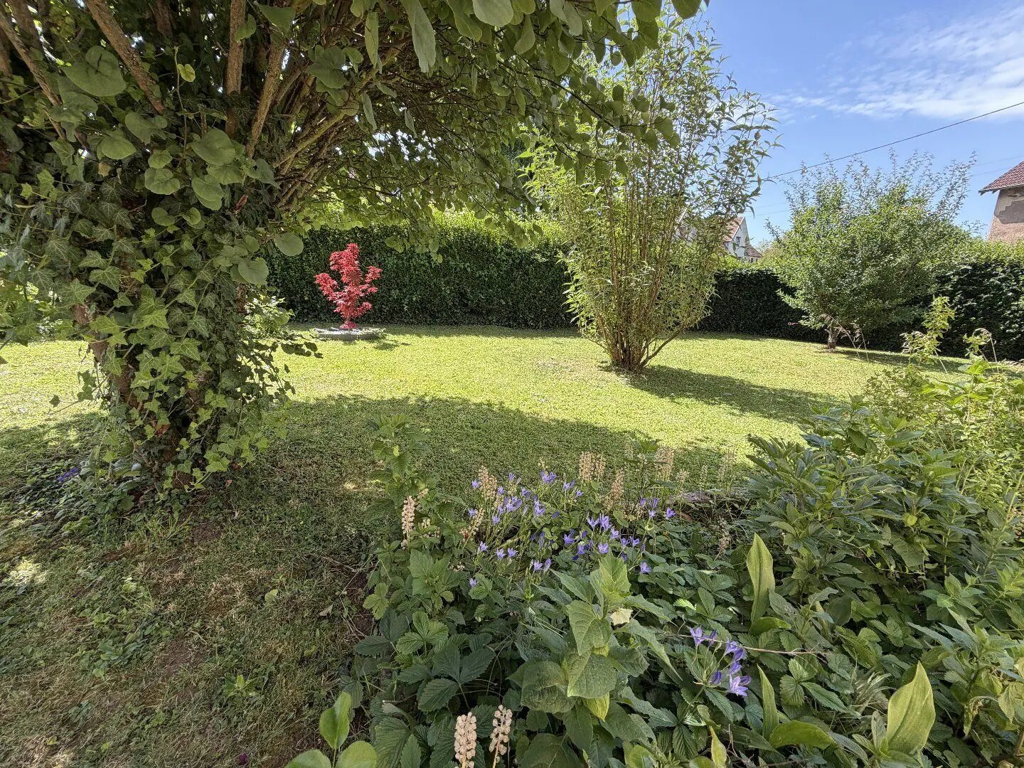Maison à vendre, 60m², Montbéliard