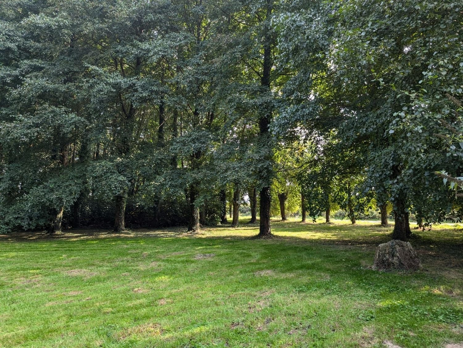 Maison à vendre, 105m², La Prénessaye