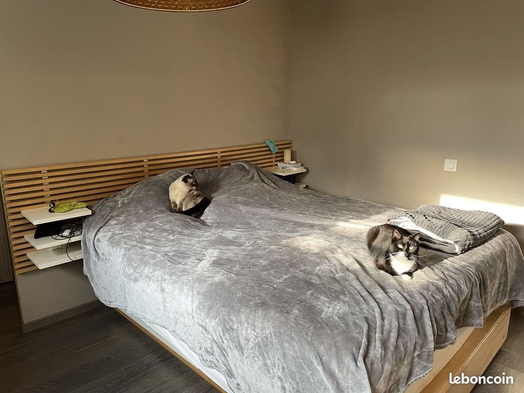 Appartement à louer, 53m², Narrosse