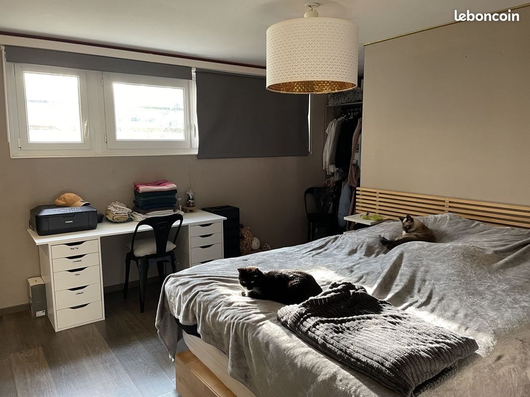 Appartement à louer, 53m², Narrosse
