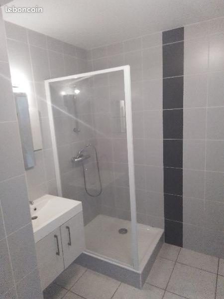 Appartement à louer, 48m², Saint-Etienne