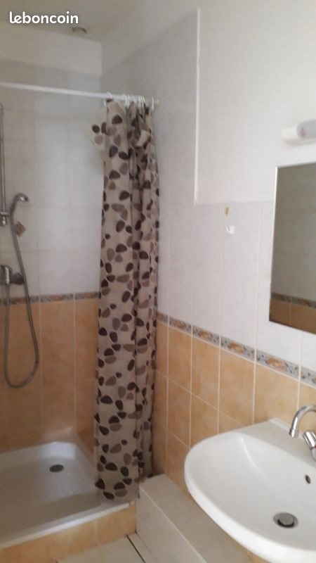 Appartement à louer, 33m², Panissières