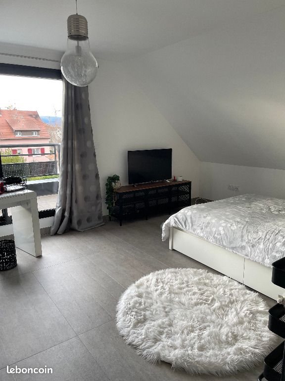 Appartement à vendre, 156m², Colmar