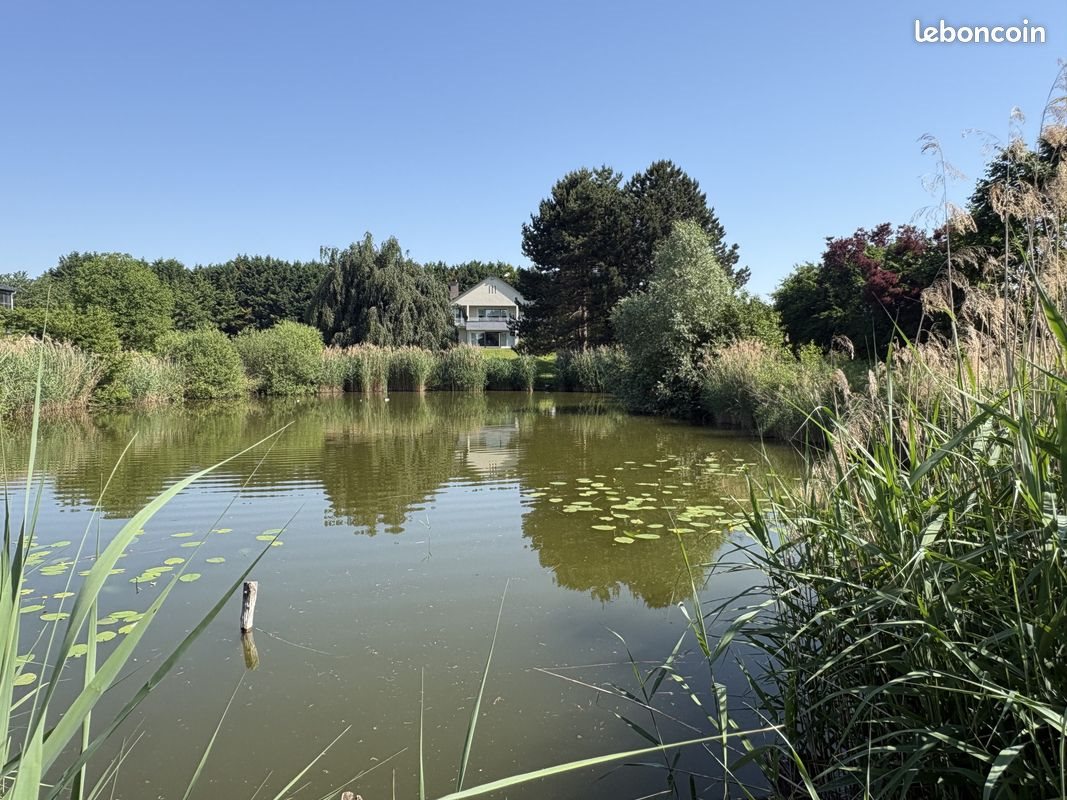 Maison à vendre, 260m², Boofzheim