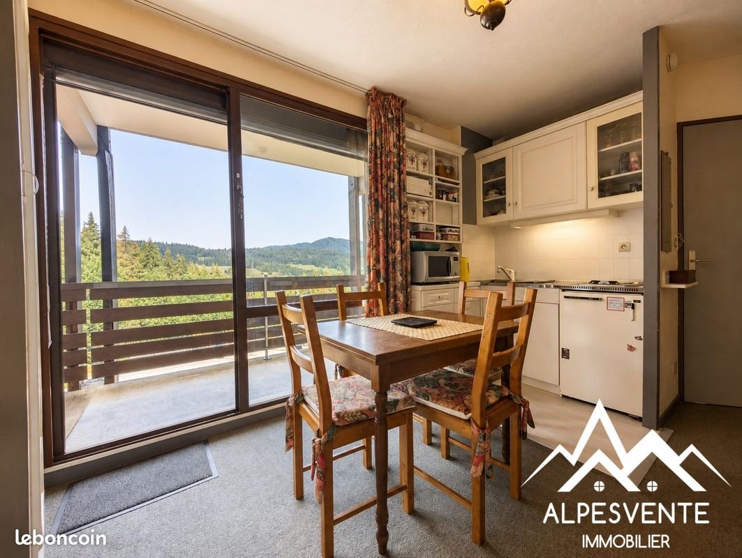 Appartement à vendre, 26m², Bellevaux (Bellevaux-Hirmentaz)