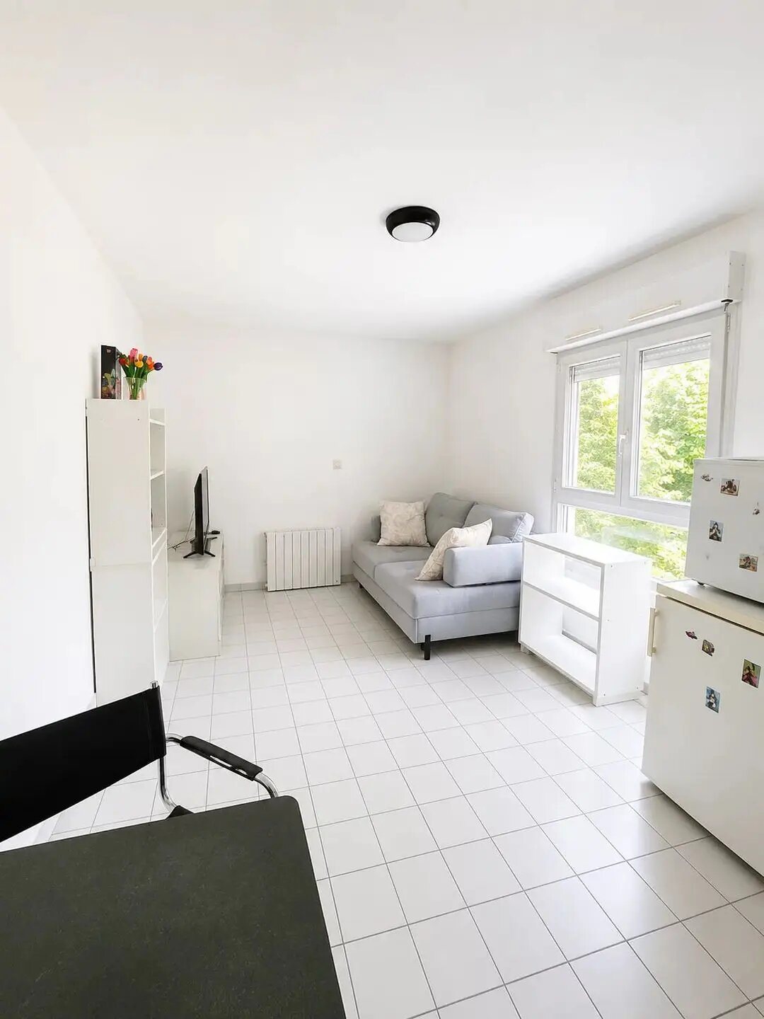 Appartement à vendre, 23m², Lyon 8ème