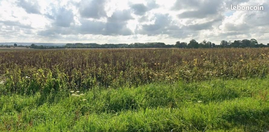 Maison à vendre, 132m², Gonneville-en-Auge