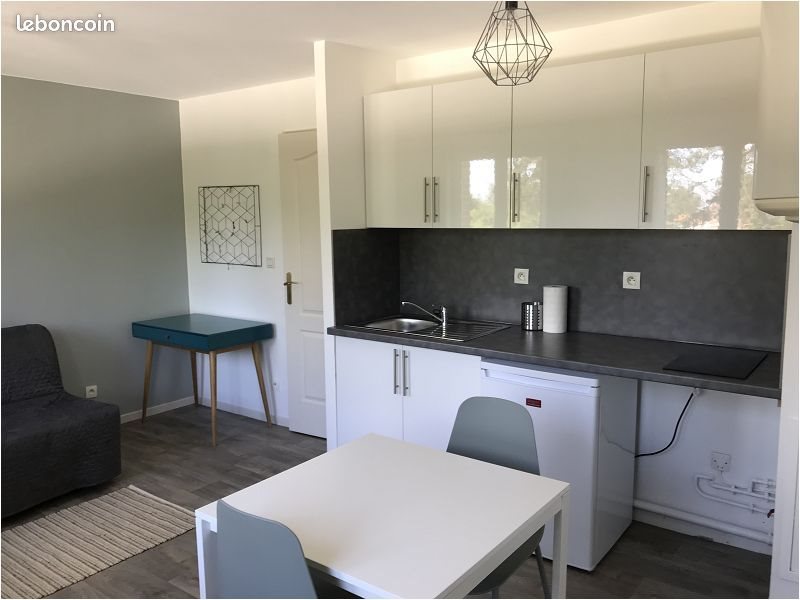 Appartement à louer, 23m², Faches-Thumesnil