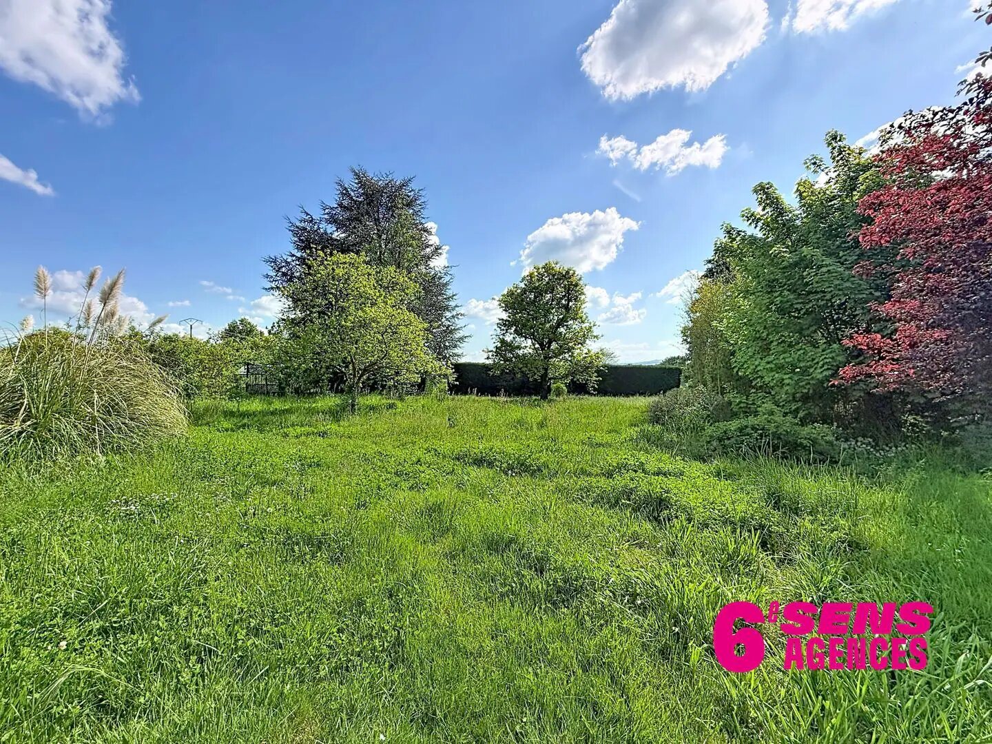 Maison à vendre, 335m², Chaponost