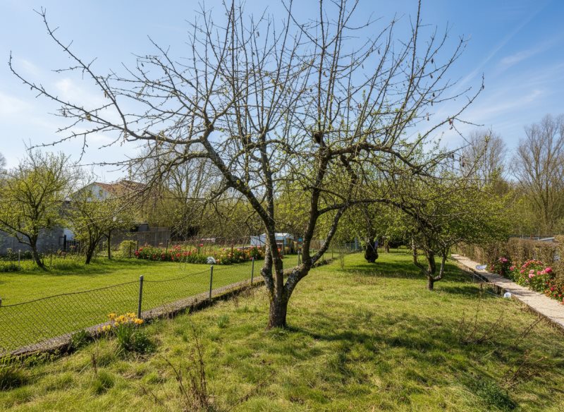 Maison à vendre, 146m², Teting-sur-Nied