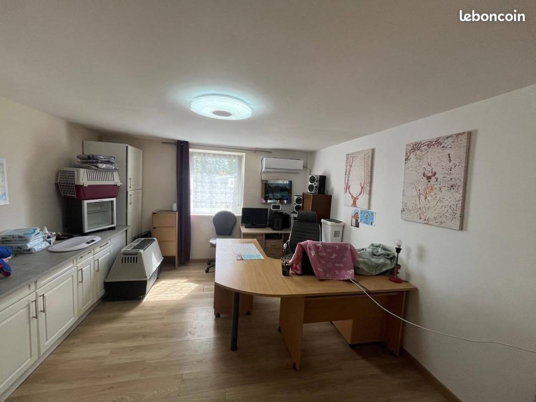 Maison à vendre, 210m², Palluau