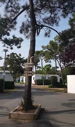 Maison à vendre, 40m², Notre-Dame-de-Monts