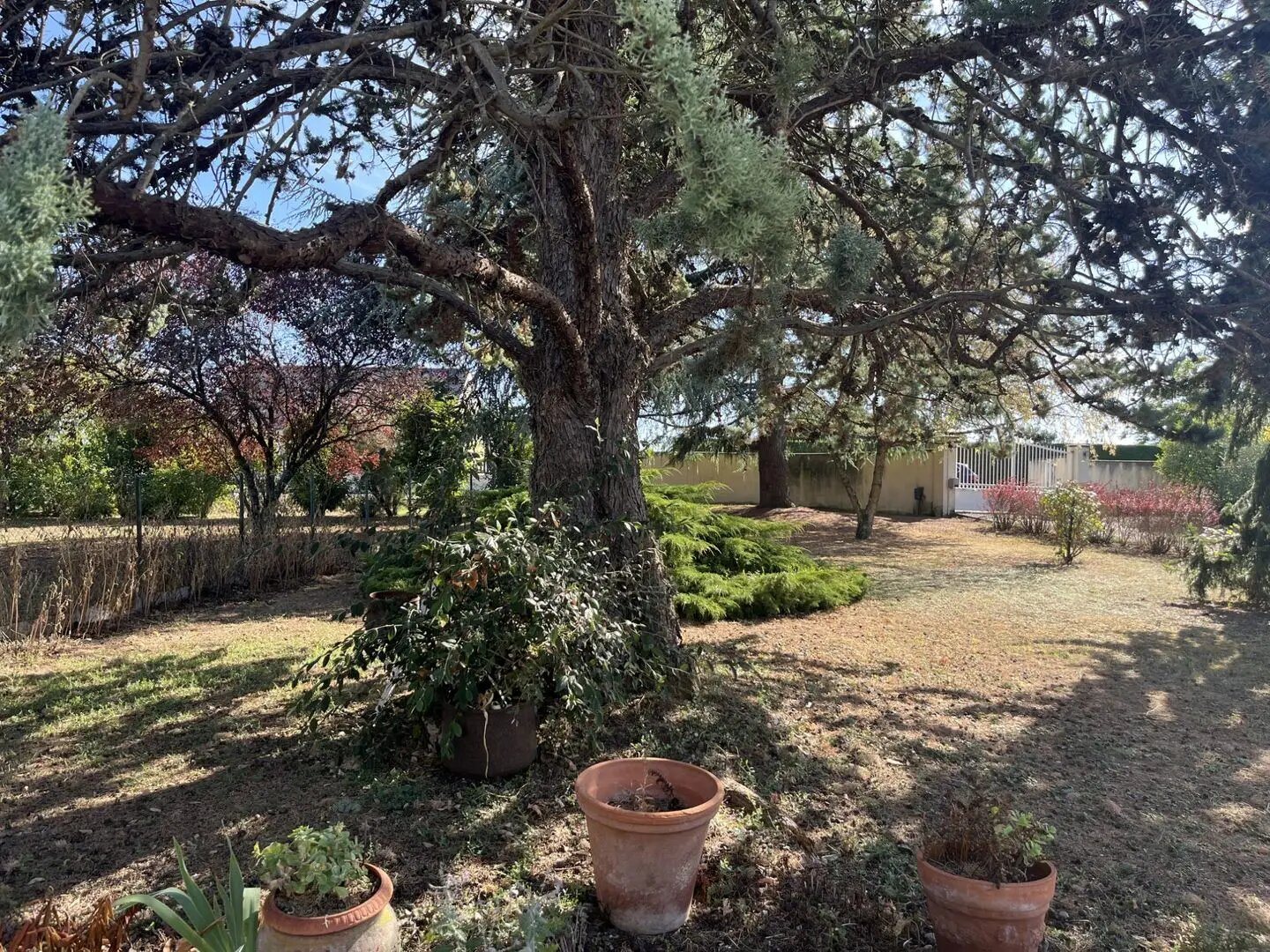 Maison à vendre, 133m², Turquant