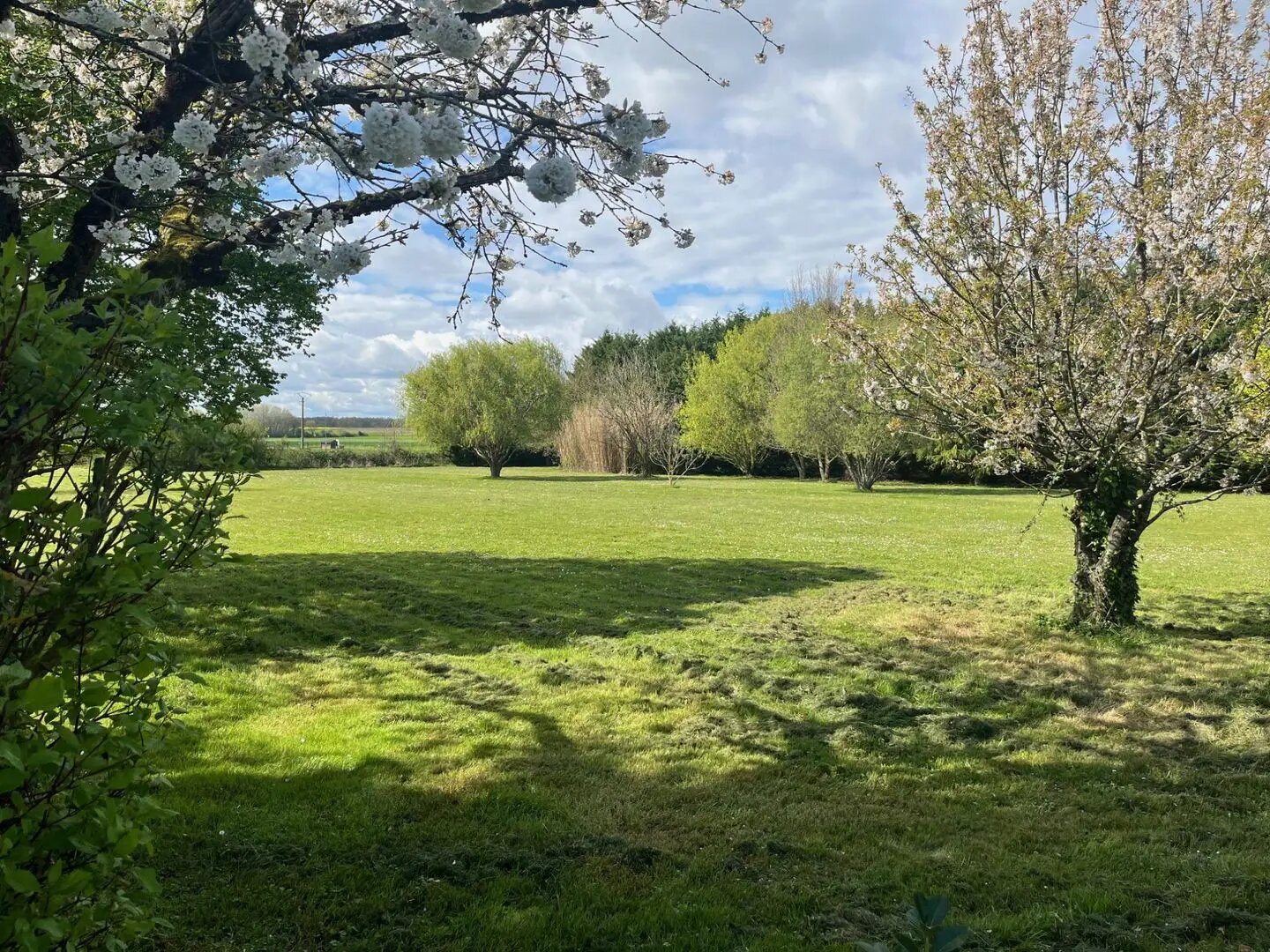Maison à vendre, 201m², Le Coudray-Macouard
