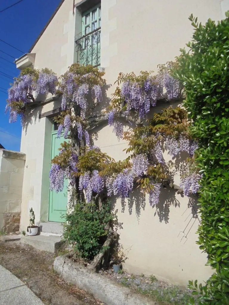 Maison à vendre, 138m², Saumur