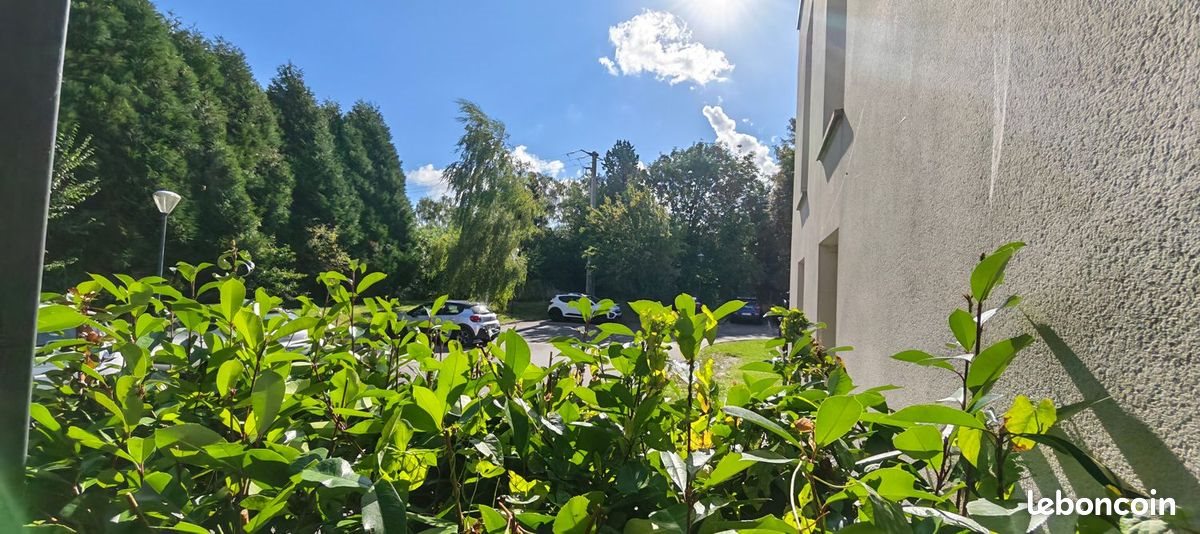 Appartement à louer, 55m², Douai