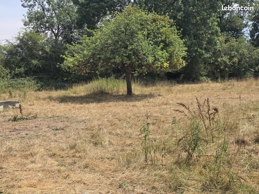Maison à vendre, 100m², Sées