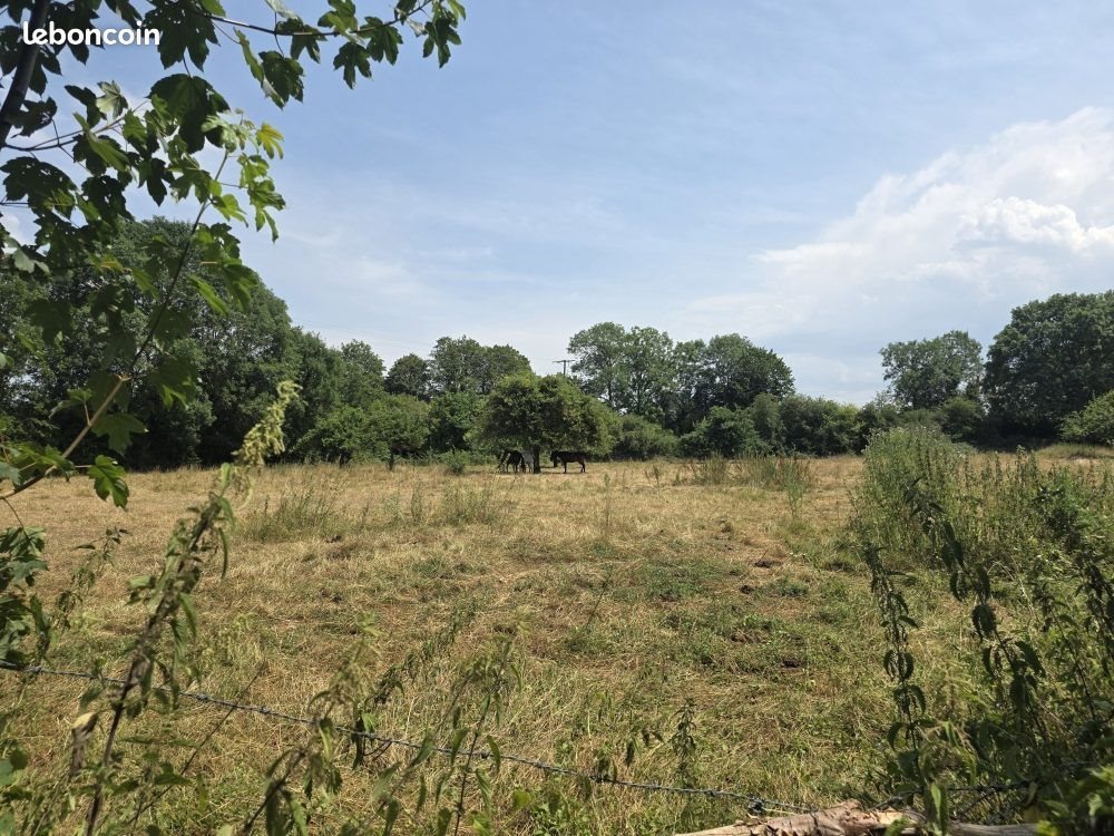 Maison à vendre, 100m², Sées