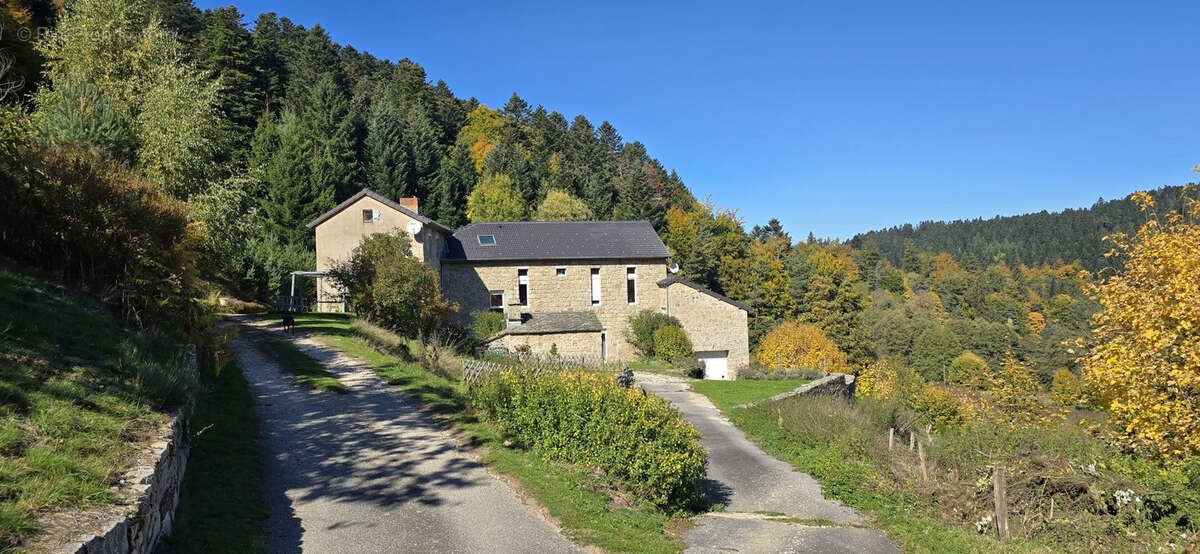 Maison à vendre, 398m², Tence