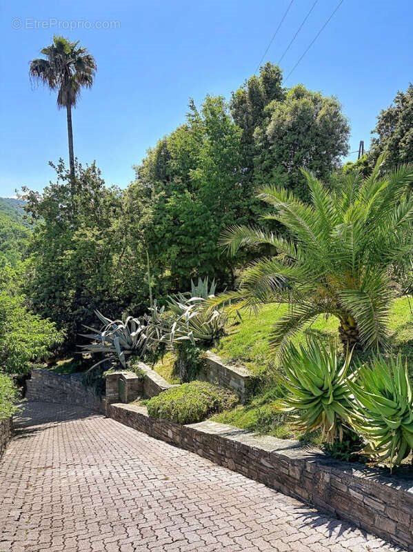 Maison à vendre, 210m², Venzolasca