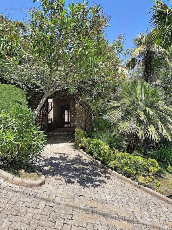 Maison à vendre, 210m², Venzolasca
