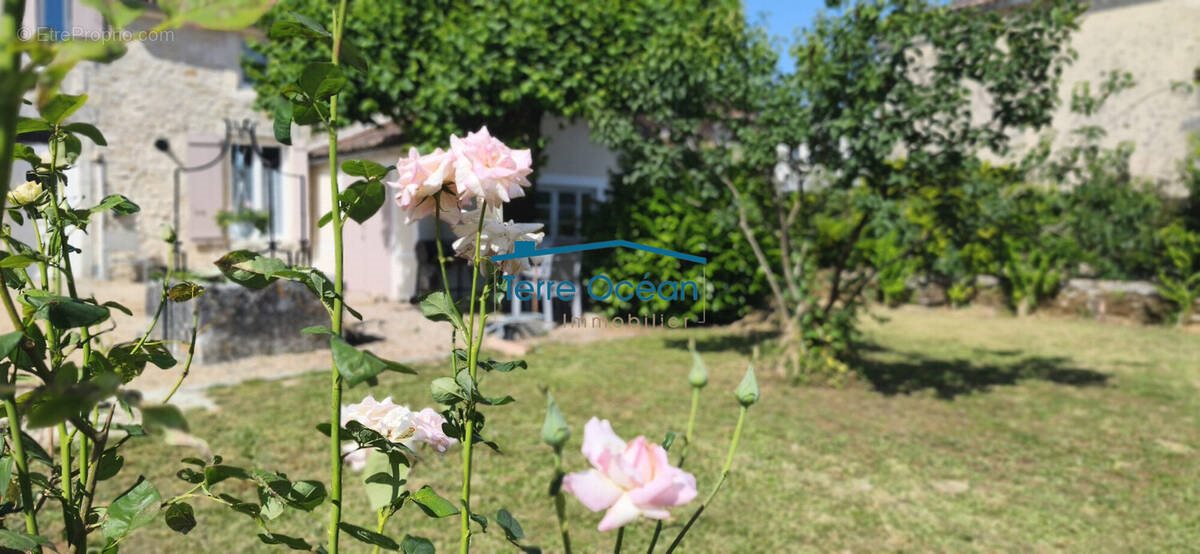 Maison à vendre, 193m², Montpellier-de-Médillan