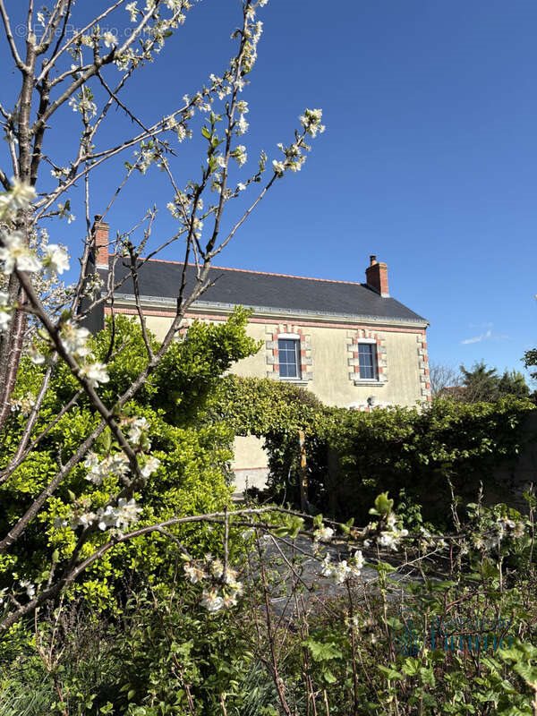Maison à vendre, 176m², Cléré-sur-Layon