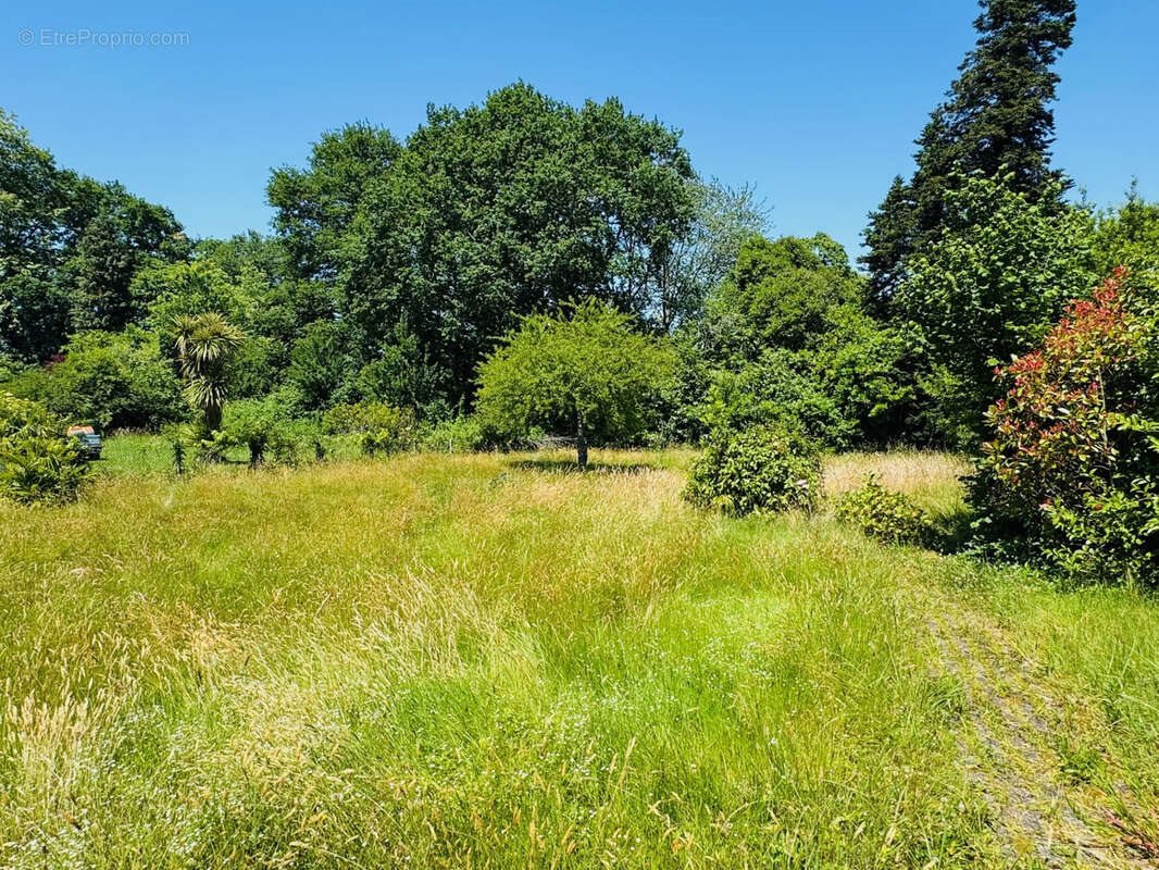 Maison à vendre, 151m², Saubrigues