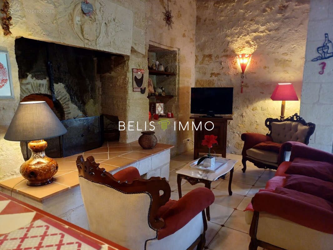 Maison à vendre, 229m², Chinon