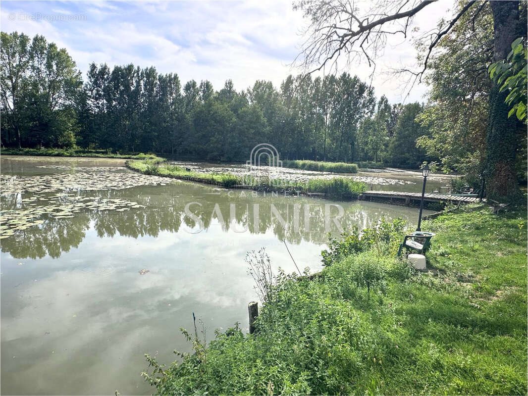 Maison à vendre, 364m², Tannerre-en-Puisaye