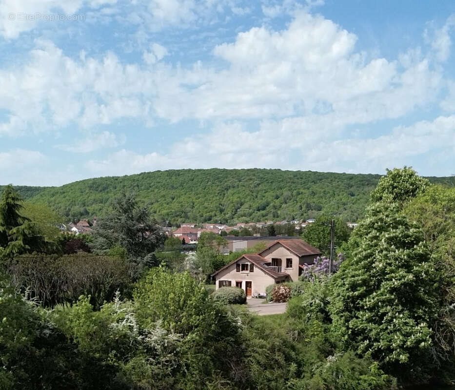Maison à vendre, 190m², Ars-sur-Moselle
