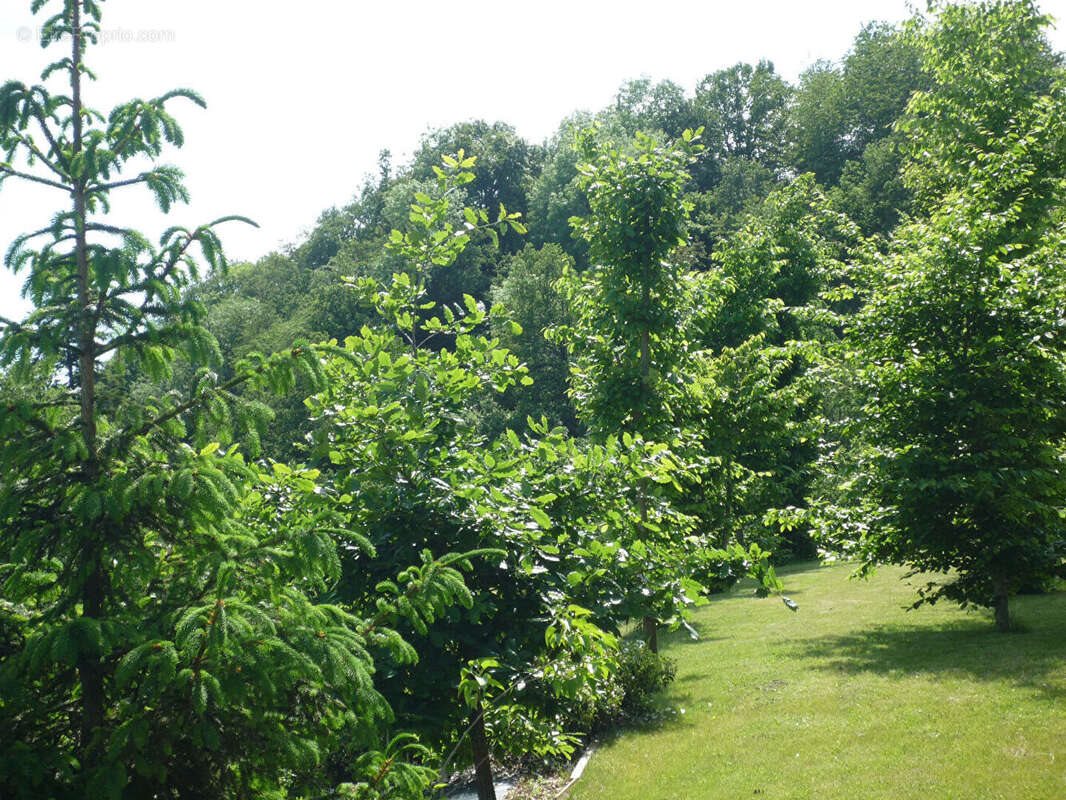 Maison à vendre, 155m², Argentré