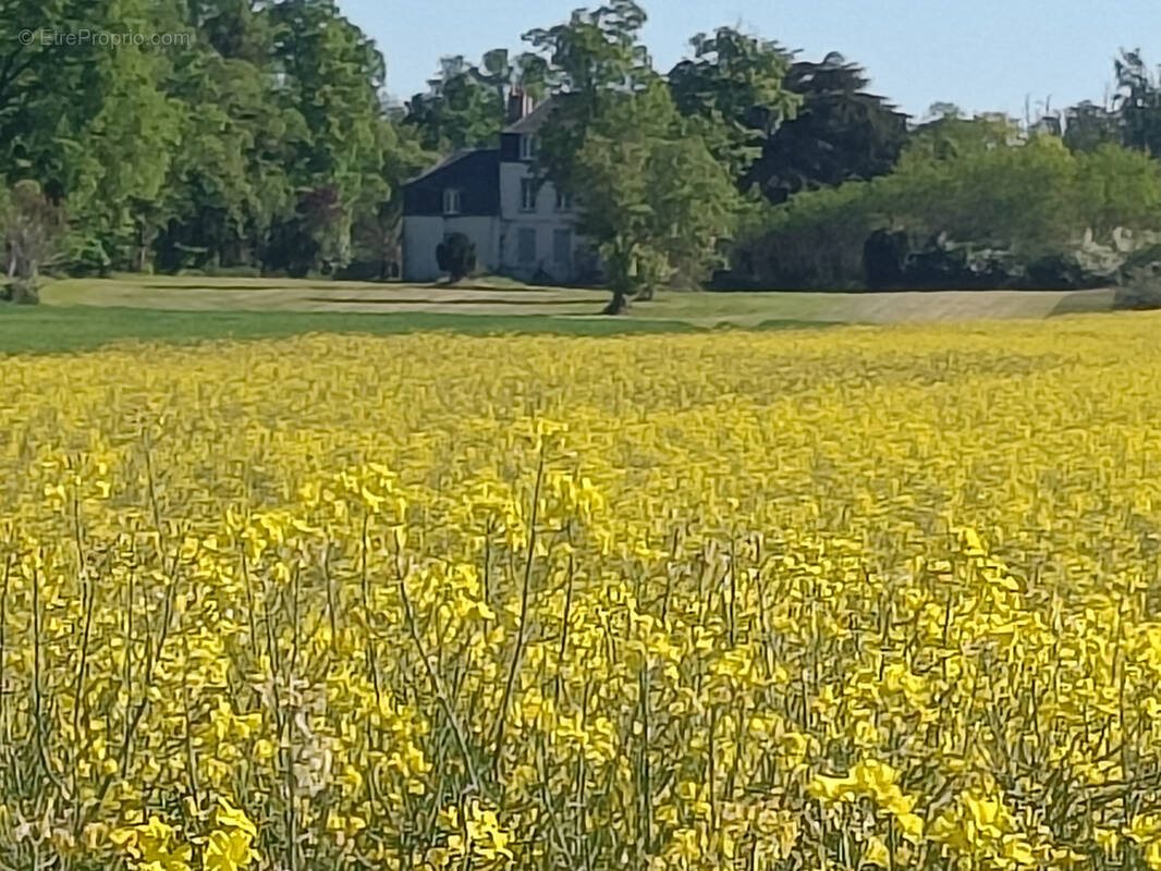 Maison à vendre, 320m², Bonny-sur-Loire