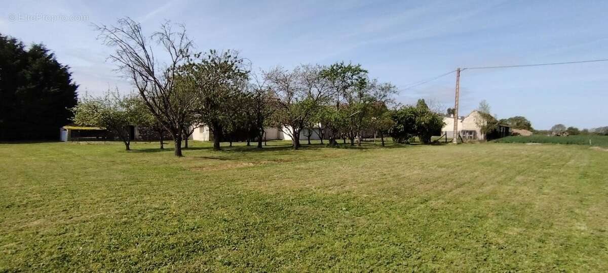 Maison à vendre, 210m², Dangé-Saint-Romain