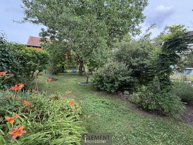 Maison à vendre, 190m², Brumath