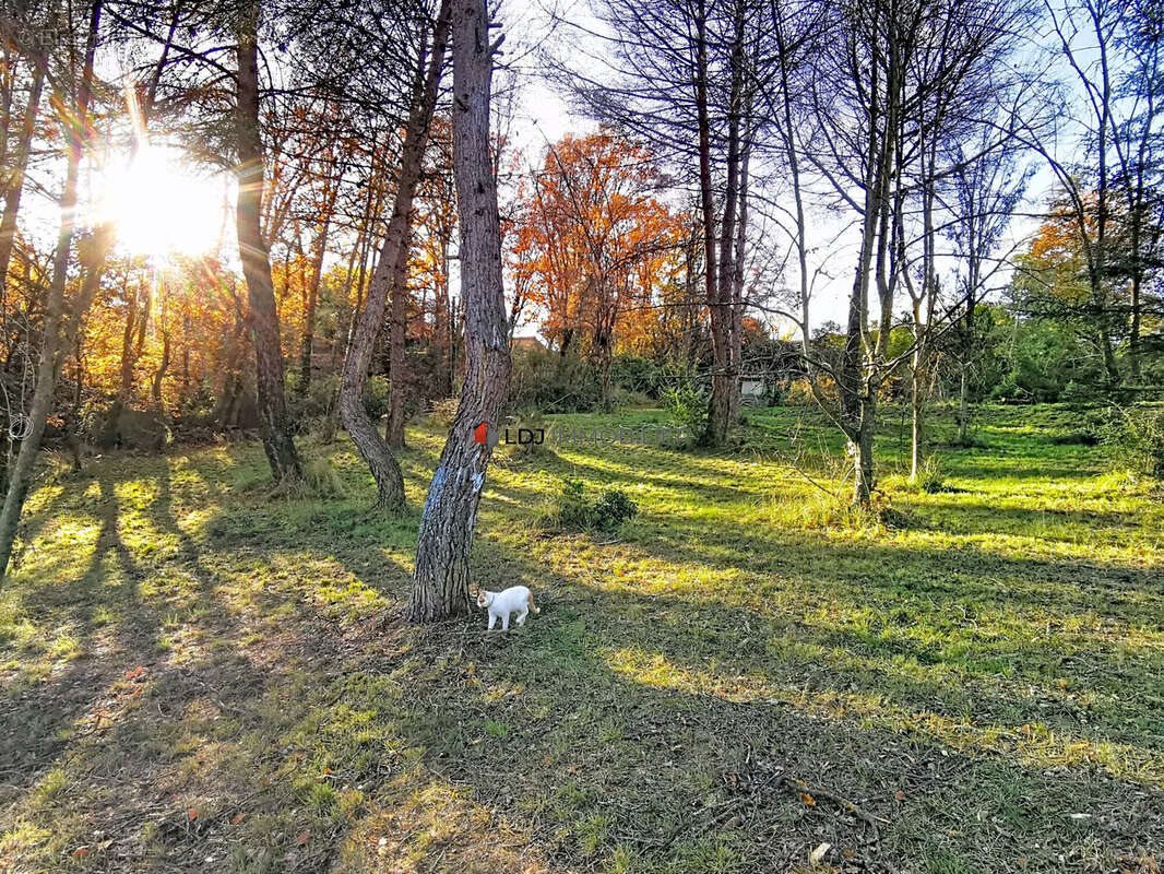 Maison à vendre, 105m², Los Masos
