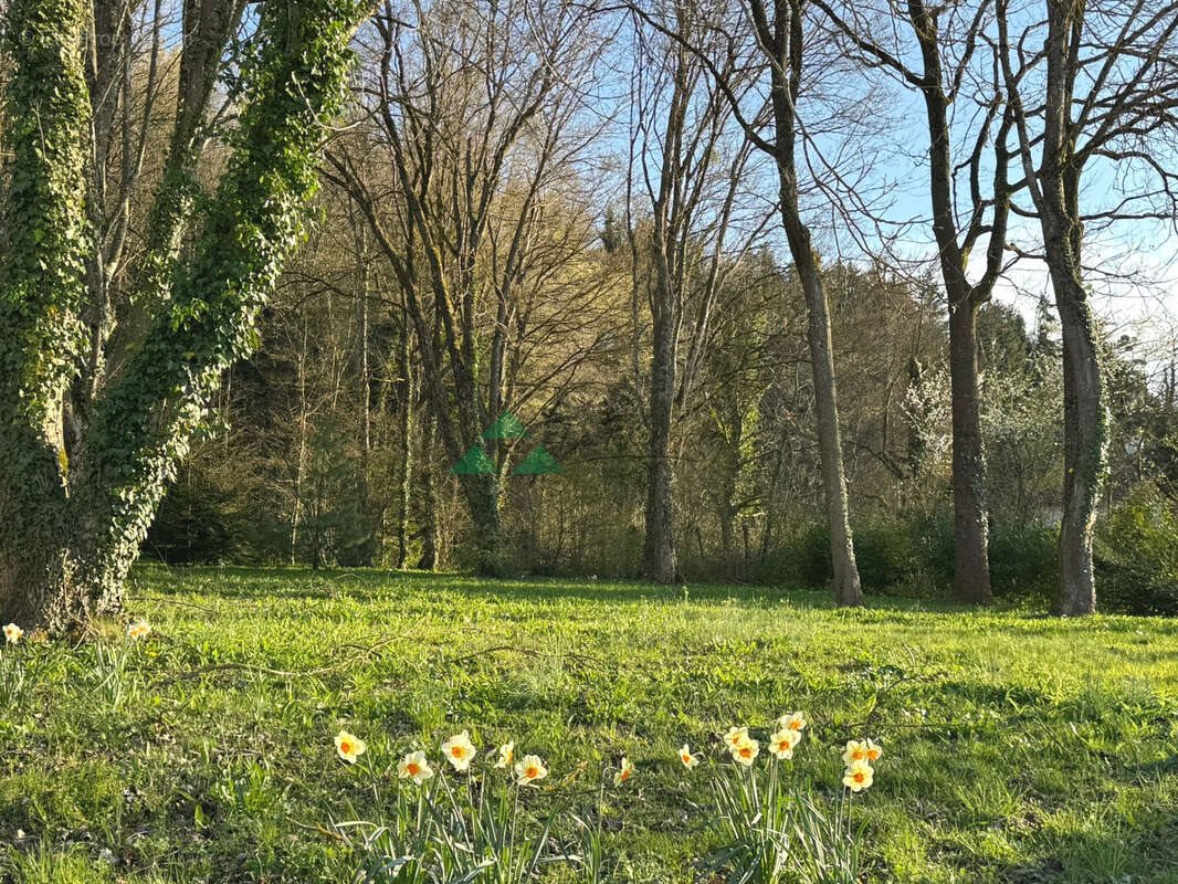 Maison à vendre, 218m², Leymen