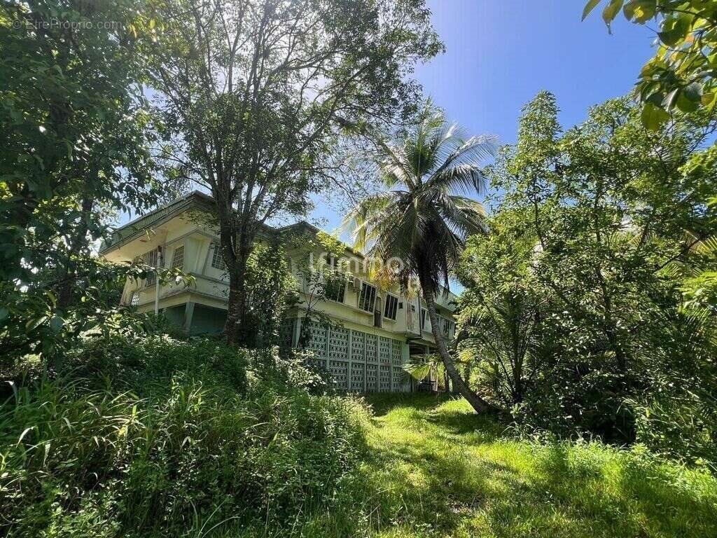 Maison à vendre, 395m², Les Abymes