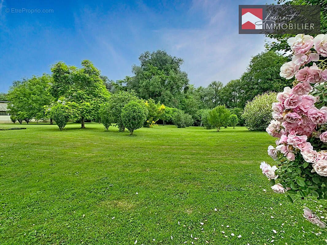 Maison à vendre, 175m², Cuisery