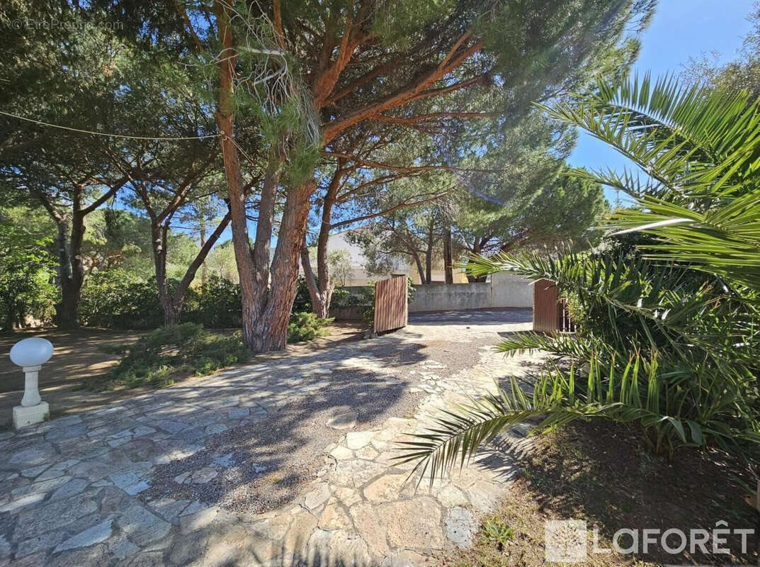 Maison à vendre, 265m², Saint-Florent