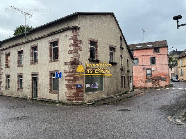 Appartement à vendre, 326m², Luxeuil-les-Bains